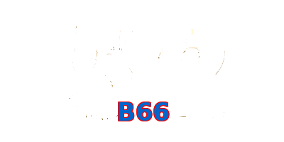 B66