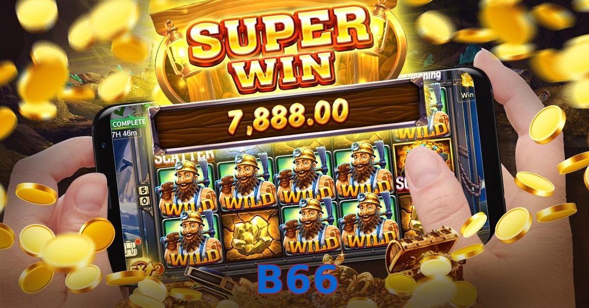B66