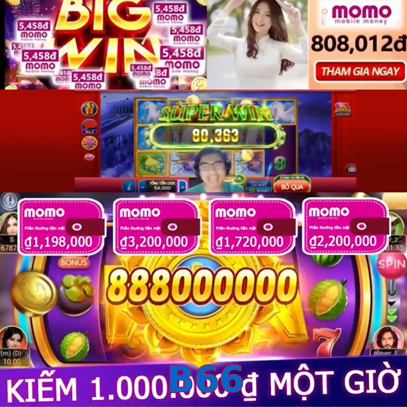 B66