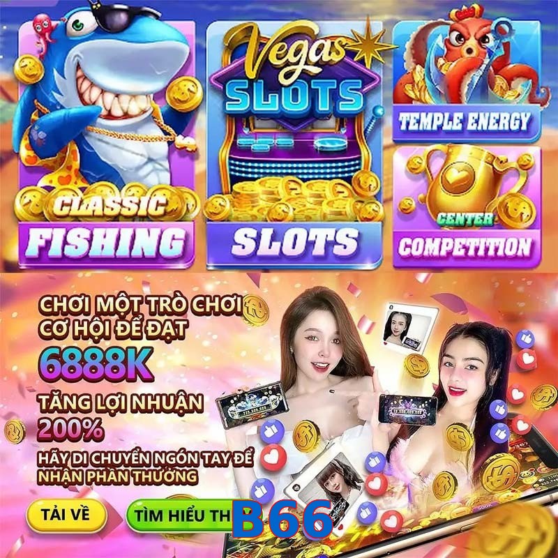 B66