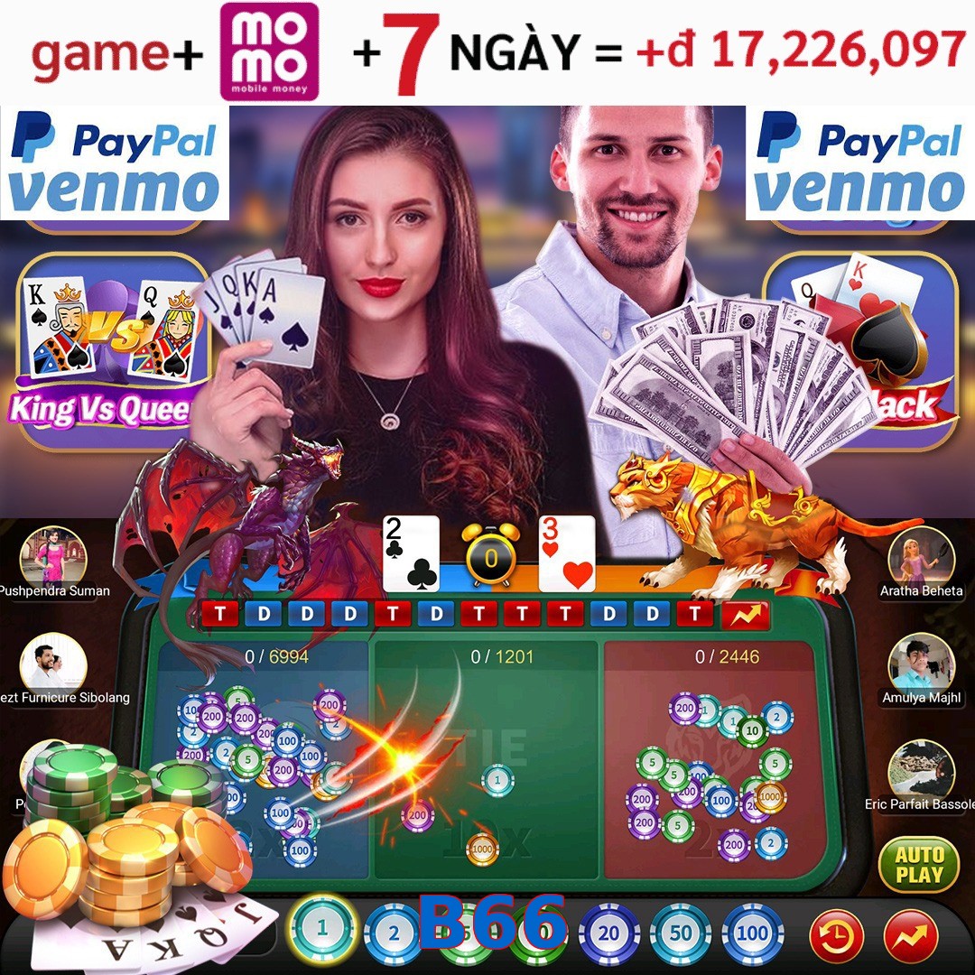 B66
