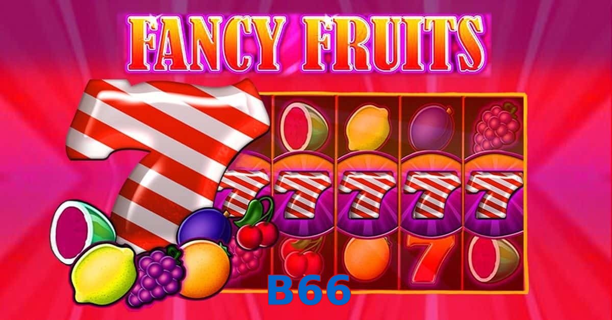 B66