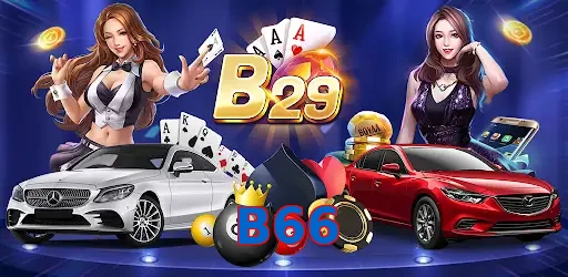 B66