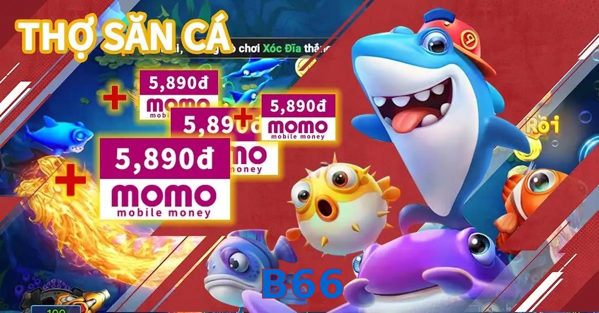 B66