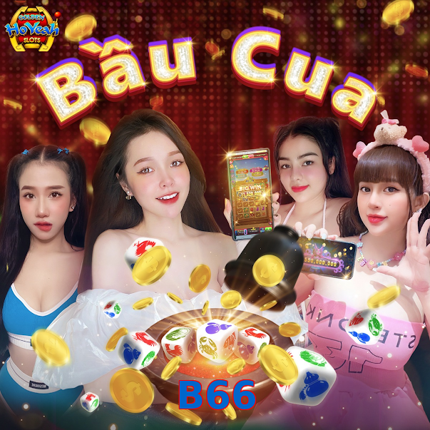 B66