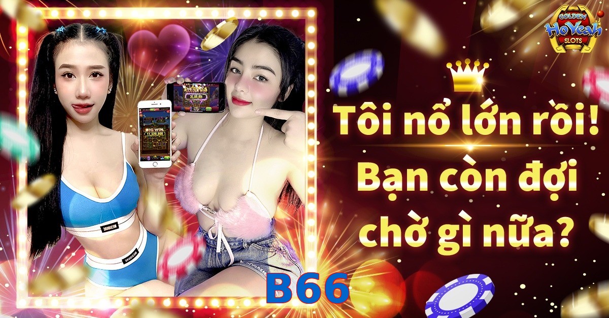 B66