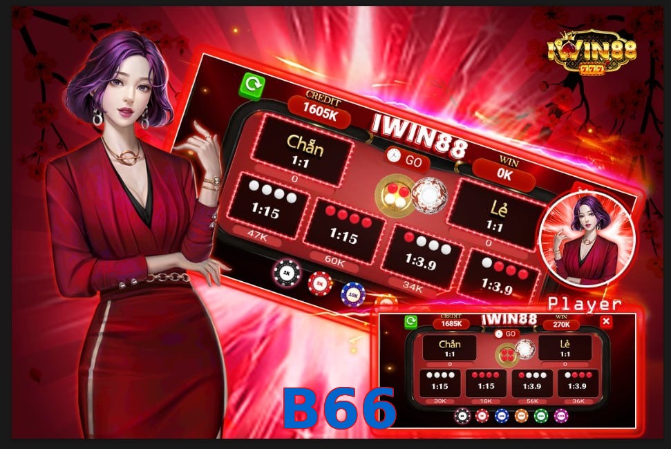 B66
