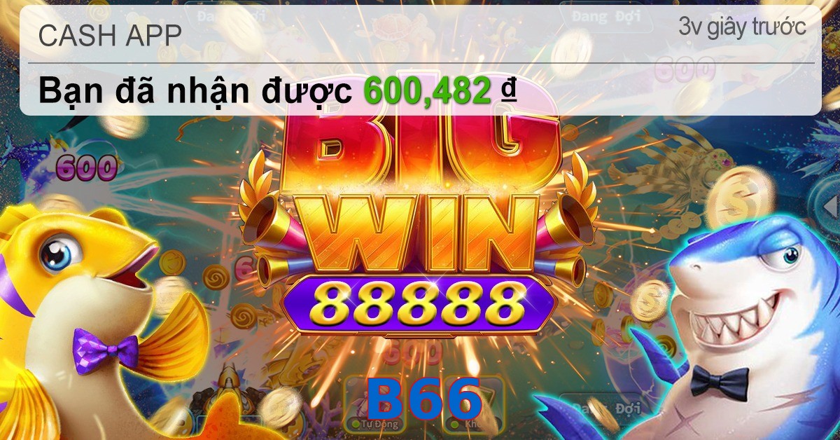 B66