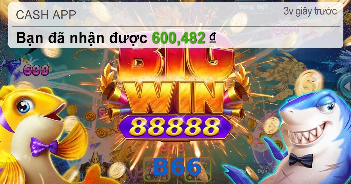 B66