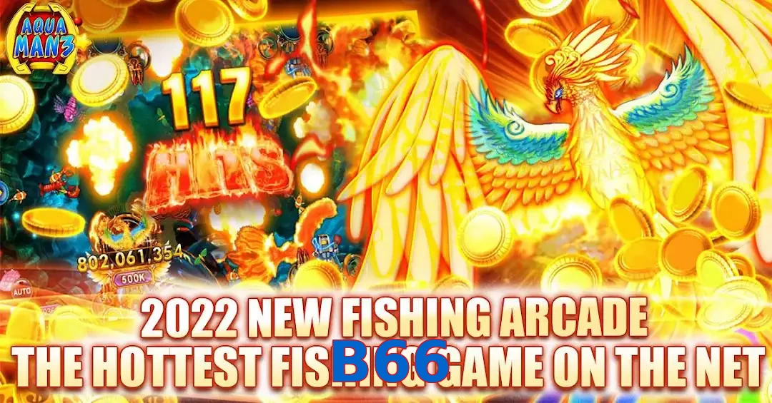 B66